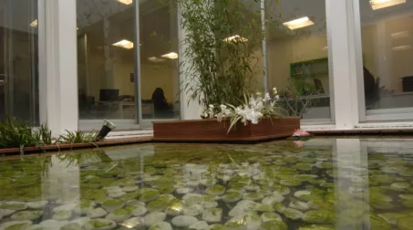 PARIS OFFICES 