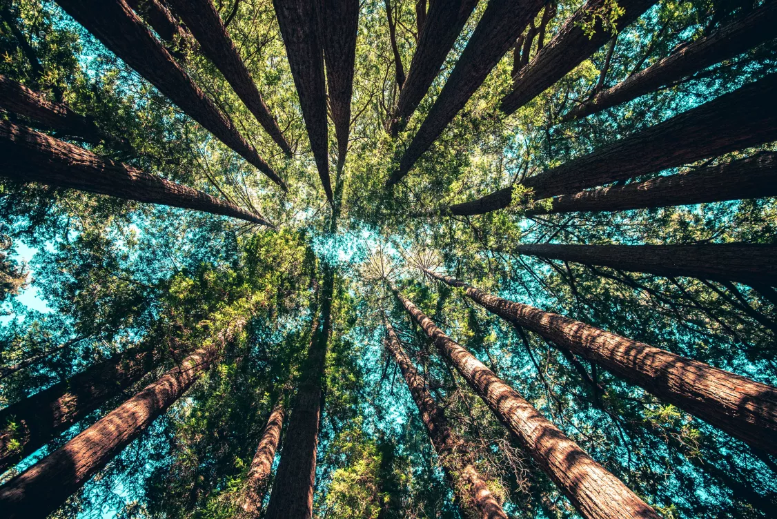 Perial Positive 2030 ecofriendly, environnement, climat, territoire, RSE